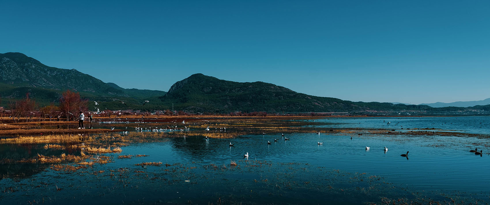 云南麗江·茶馬道拉市海麗世山居酒店設(shè)計(jì) 云南麗江·茶馬道拉市海麗世山居酒店設(shè)計(jì)